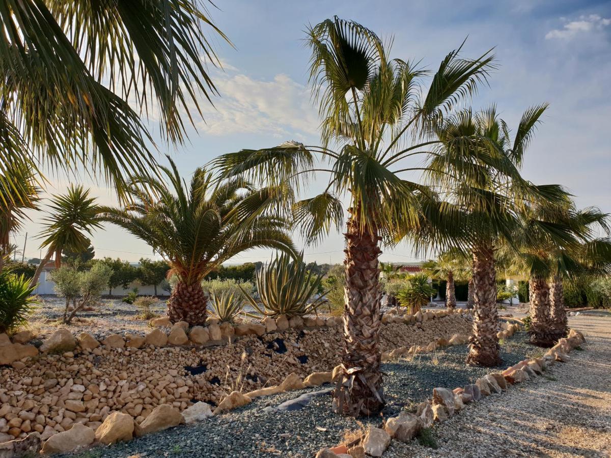 Finca San Mateo Vera Kültér fotó